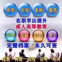 泰安教育教学软件公司名录及电脑软件资源概览